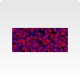 Poli-Flex Starflex 498 purple, š. 50cm